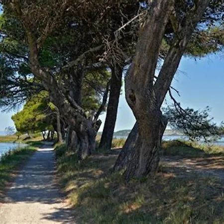 Echarou Le Bruit Des Vagues * Port-la-Nouvelle